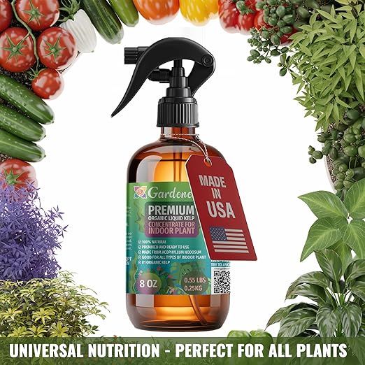 GARDENERA Professional Organic Liquid Kelp Spray for Citrus Trees Plants - 8 oz - Ready-to-Use Fully Organic Seaweed & Kelp Fertilizer Mist