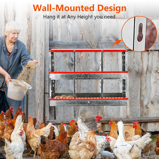Chicken Nesting Boxes for Laying Eggs, 6 Compartment Metal Roll Out Away Nesting Boxes for Hens, Nesting Gift Boxes for Chickens Duck Poultry, Heavy Duty Chicken Coop with Perch