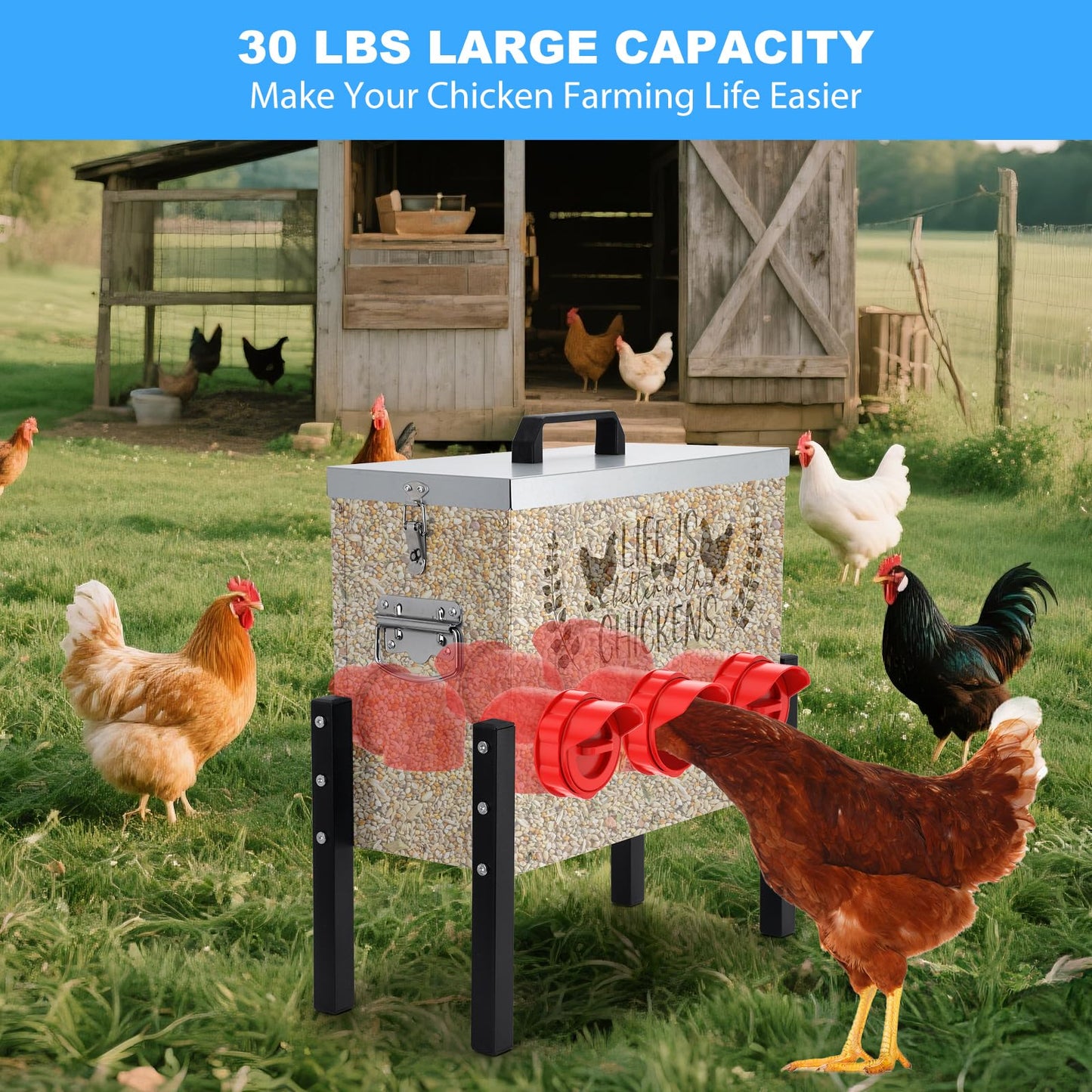30 lb Chicken Feeder with 6 No-Waste Ports – Heavy-Duty Outdoor Metal Feeder with Adjustable Height, Locking Lid & Riveted Handles – Rustproof Feed Box for Poultry & Backyard Chickens
