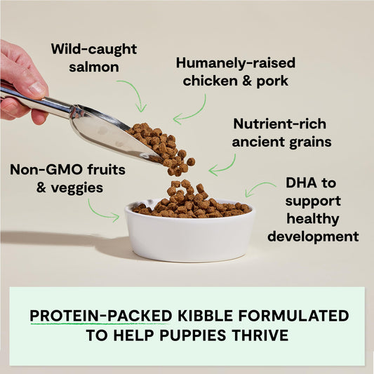 Open Farm, Ancient Grains Dry Dog Food for Puppies, Protein-Rich & Nutrient Dense, 90% Animal Protein Mixed with Non-GMO Fruits, Veggies and Superfoods, Chicken & Salmon Recipe for Puppy, 22lb Bag