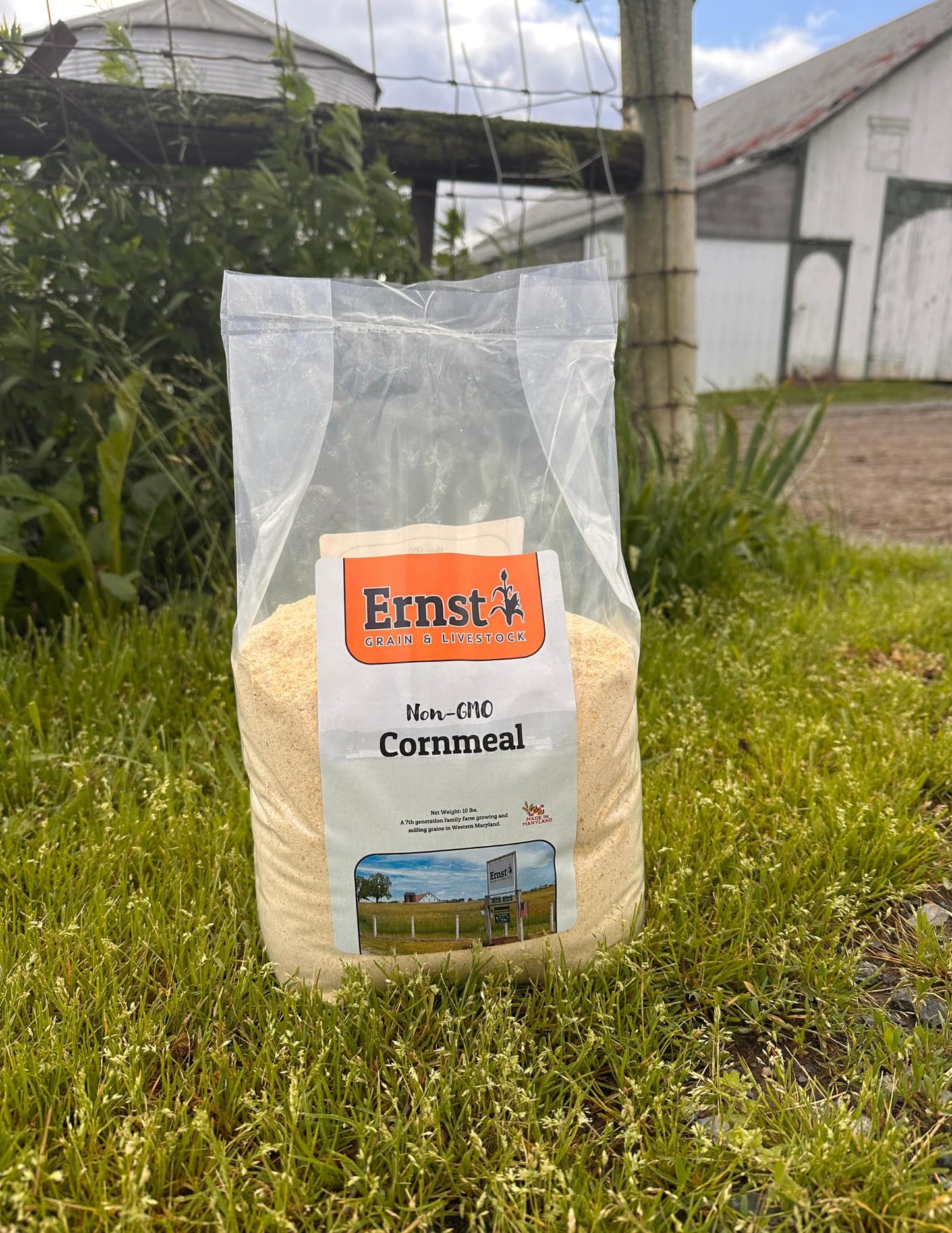 Ernst Grain & Livestock Non‑GMO Fine‑Ground Cornmeal – Premium Feed‑Grade 10 lb (160 oz) Portable Bag – All‑Natural, Unprocessed Grain Meal for Poultry, Livestock & Small Animals