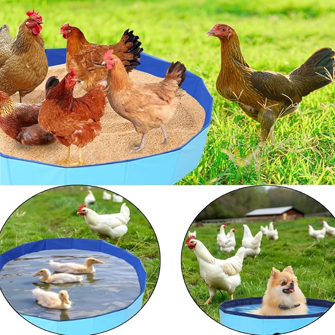 Chicken Dust Bath Chicken Coop Cleaning Container Dust Bath Ultra Tough Composite Fabric Foldable Design Essential Chicken Coop Accessories (32'' D * 8'' H)