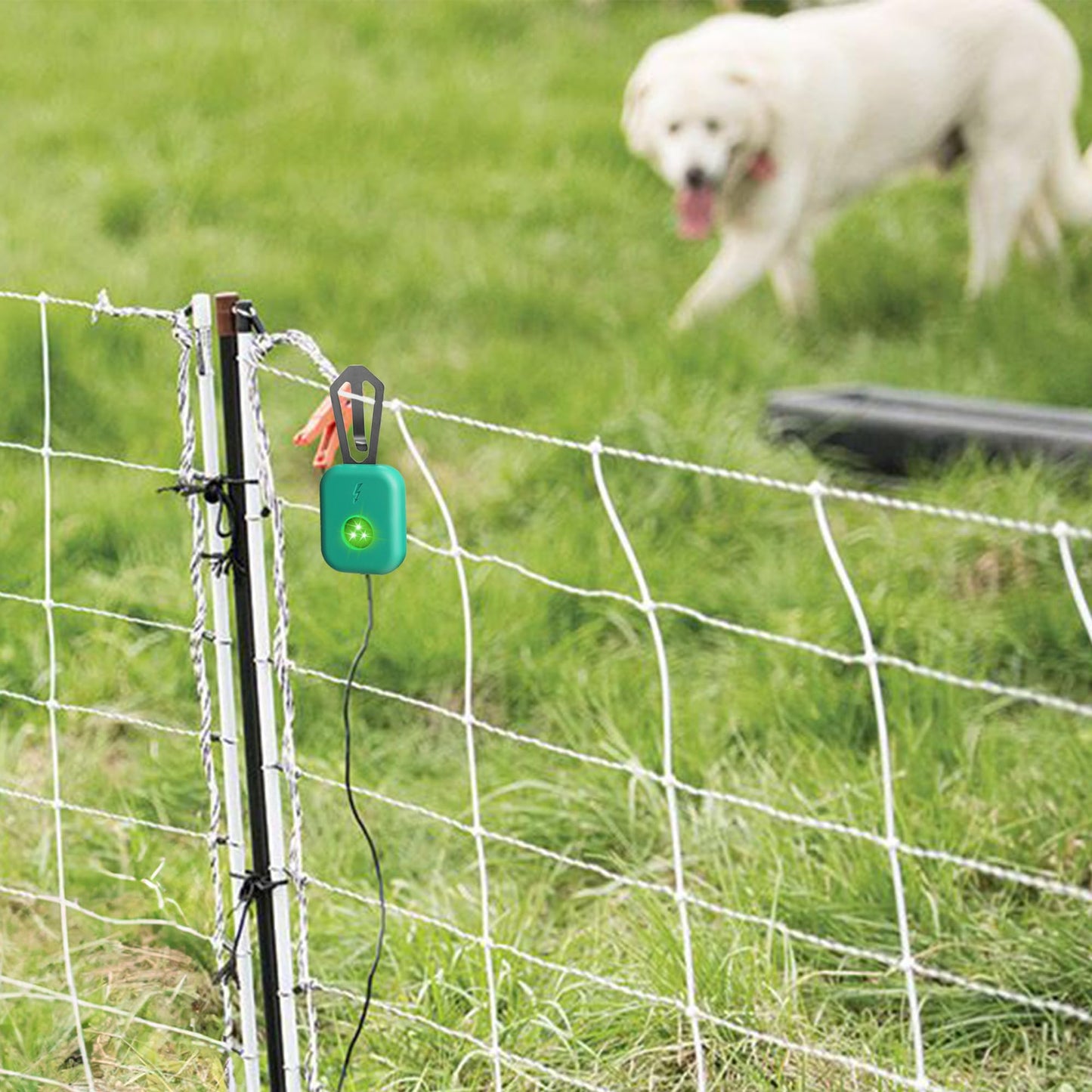 Electric Fence Tester with LED Indicator Lights - 300V to 10kV Range | Detects Energizer Pulses | Clips to Wire or Tape Fences