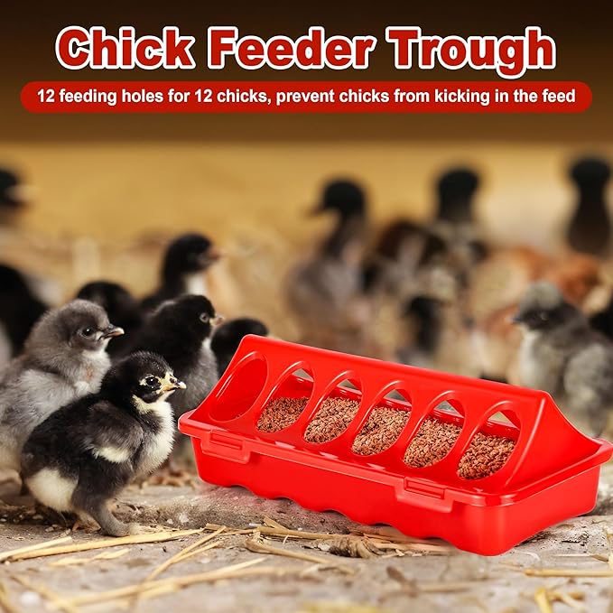 Chick Brooder Box Starter Kit, Plastic Baby Chicken Feeder and Waterer Set with Chick Perch