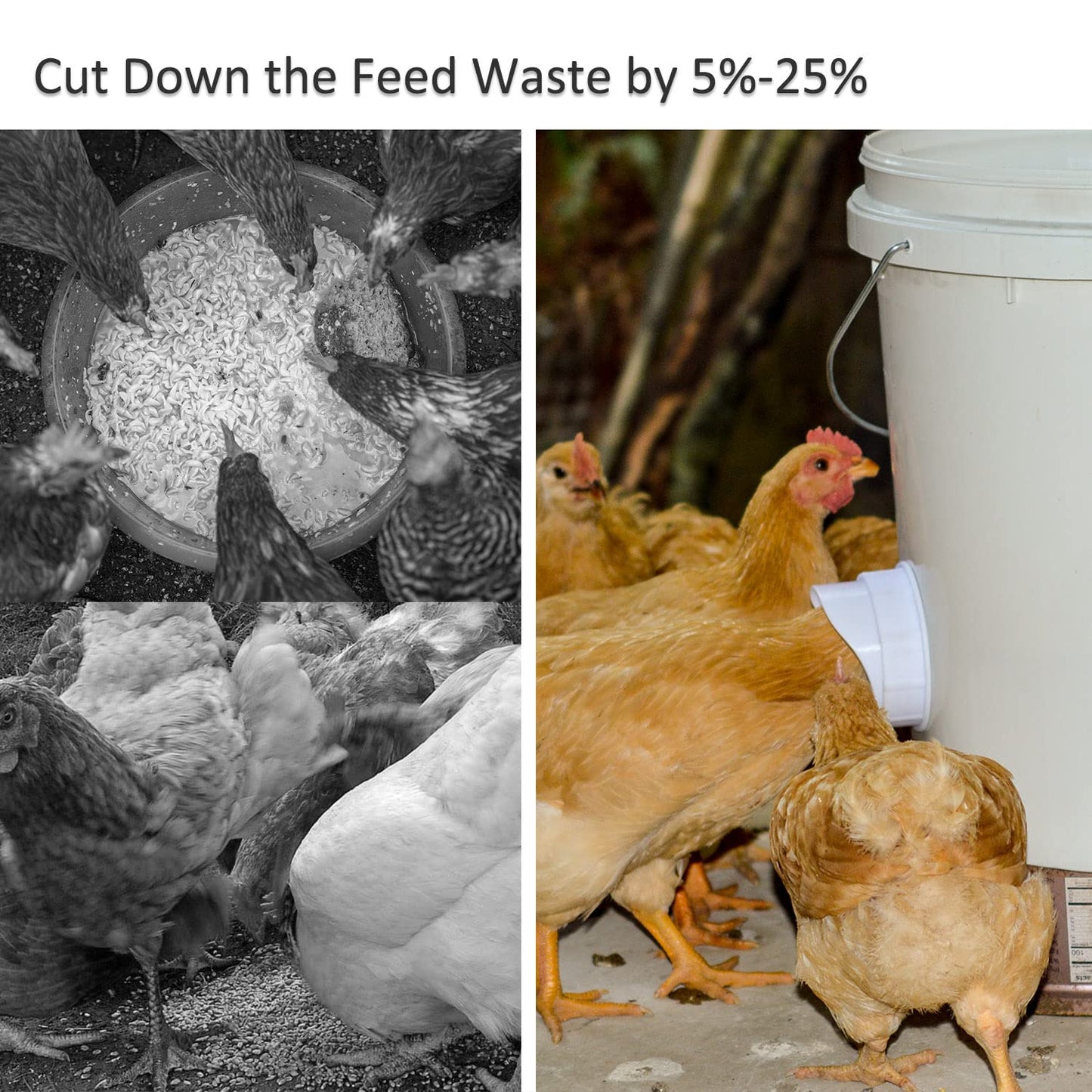 Automatic Chicken Feeder Chicken Feed Container Hanging Chicken Feeder Rainproof Poultry Feeder Bucket (Frosted)