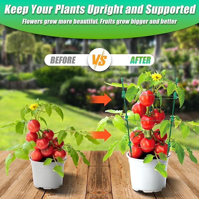 Upgrade Tomato Cage for Garden, 6 Pack 18 Inch Plant Support Cages, Stakes Trellis for Cherry, Peony, Flowers, Small Plants Pots