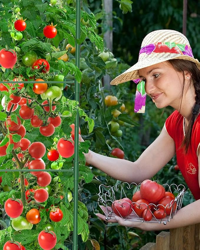 3 Pack Tomato Cages for Garden, 51 Inches Adjustable Tomatoes Plant Stakes Support Cages Trellis, Garden Trellis for Vegetable Flowers Fruits Climbing Plants- 20 Binding Wires Included