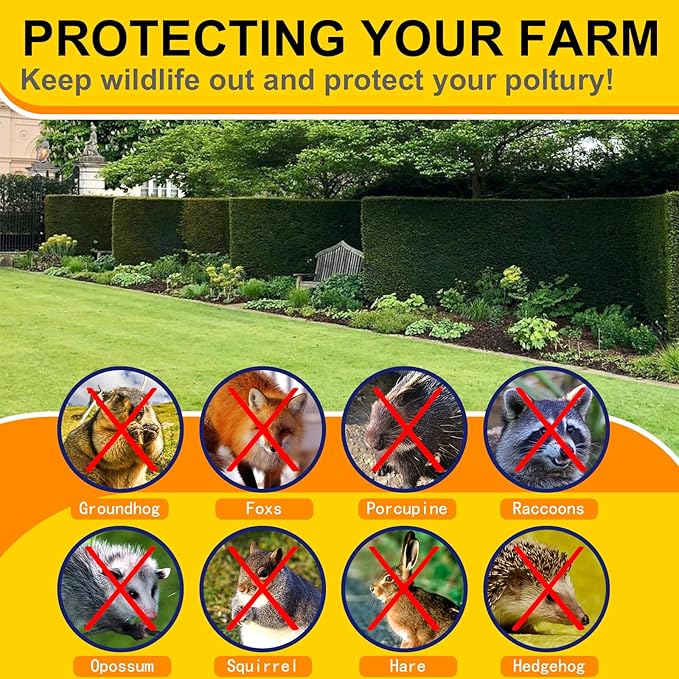 Black Hardware Cloth 1/2inx24inx100ft, Chicken Wire Fencing, 19Gauge, Vinyl PVC Coated Mesh, Welded Wire mesh, Perfect for Gopher Wire, Rodent Mesh, Tree Guard, Chicken Coop.