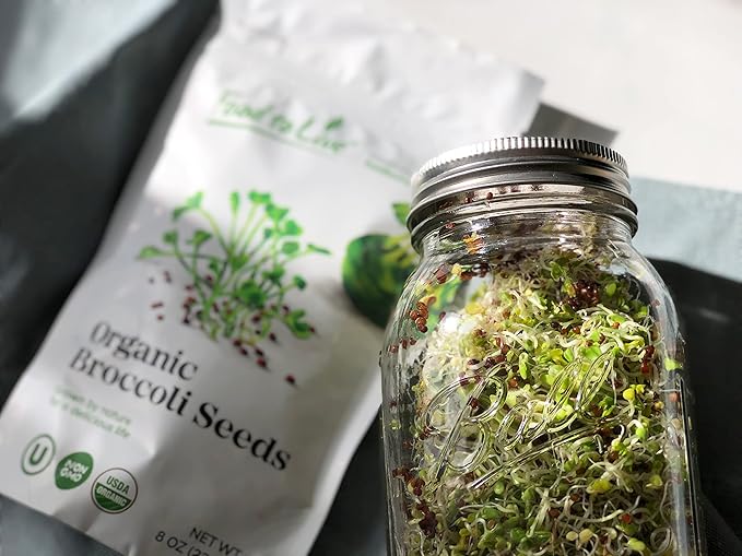 Food to Live Organic Broccoli Seeds for Sprouting, 8 Ounces – Non-GMO, Vegan, Kosher, Sirtfood, Bulk. Rich in Sulforaphane, Vitamin C. Grow Sprouts, Microgreens for Salads, and Sandwiches