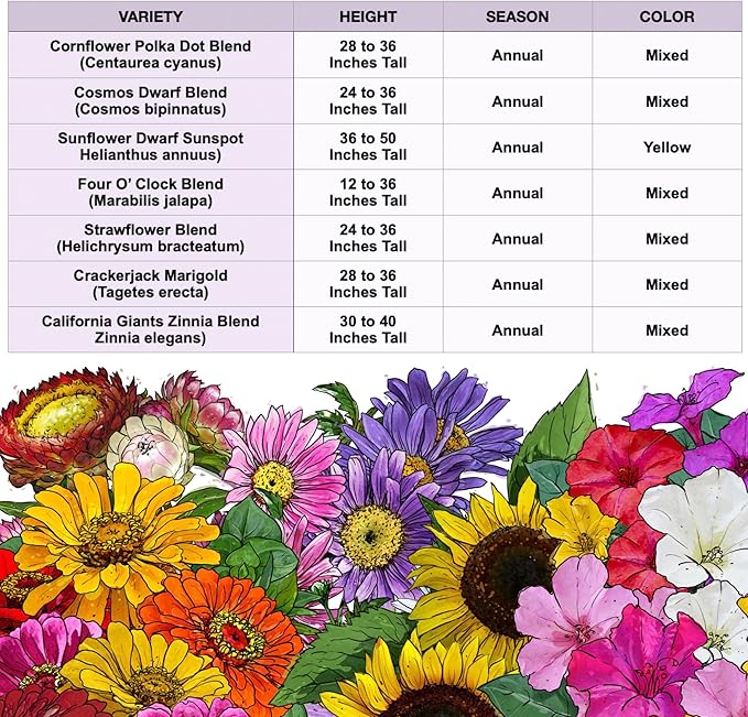 Seed Needs Garden Flower Seeds Large Blooms Mix Hummingbird and Butterfly | 1 Ounce No Filler 7 Varieties Open Pollinated | Resealable Package Live Wild Flower Seed | Bulk
