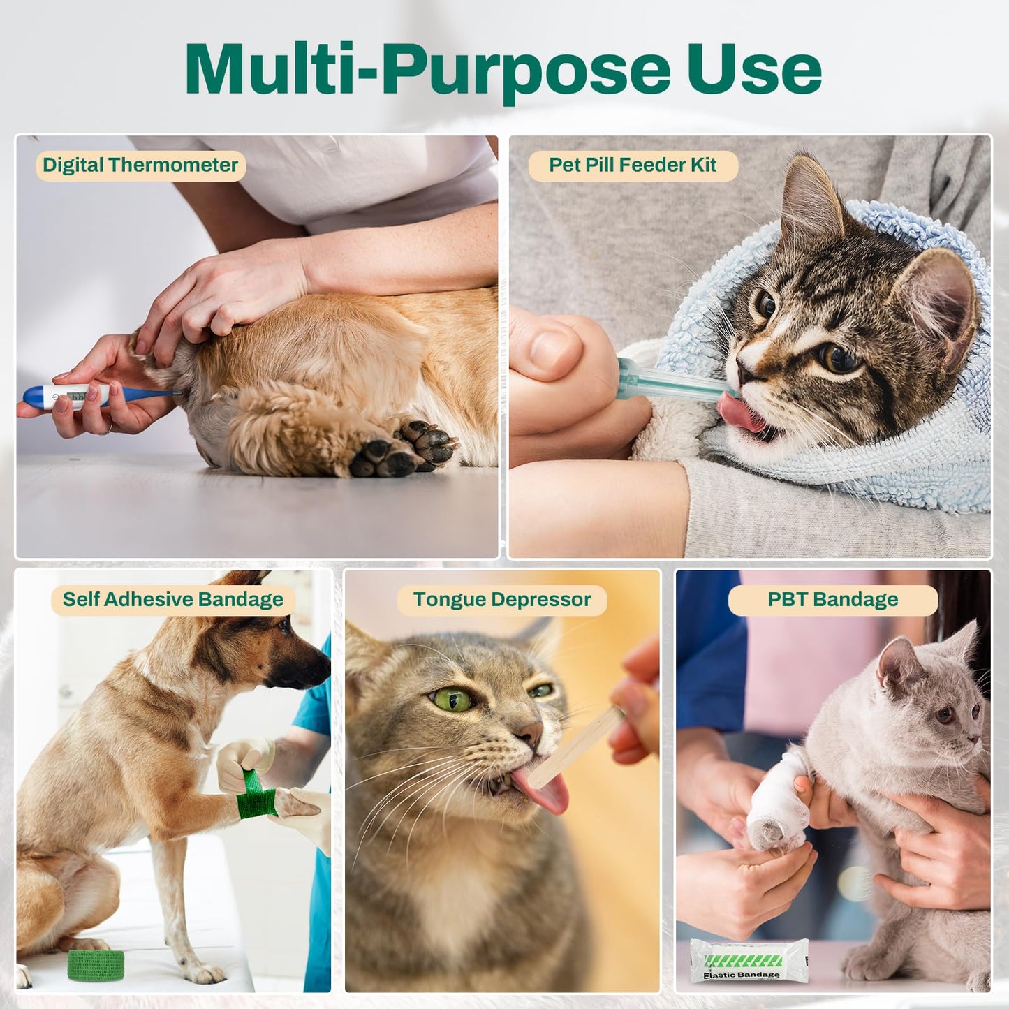 RHINO RESCUE Pet First Aid Kit, Emergency Medical Supplies for Dogs & Cats, Safety Essentials Pack with Thermometer, Disposable Booties for Home, Hiking, Traveling & Camping