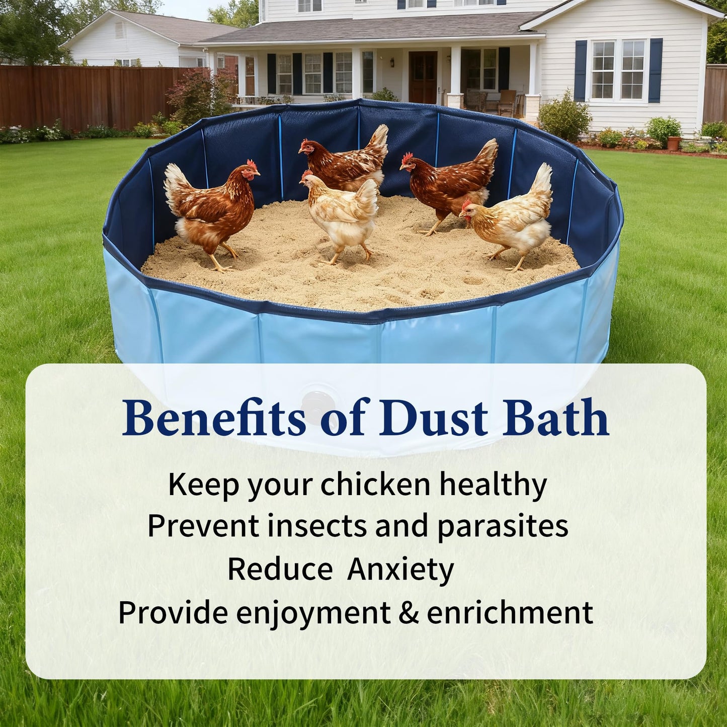 Chicken Dust Bath Tub, Chicken House Cleaner Container,Dust Bath for Chickens,Duck, Goose, Essential Chicken Coop Accessory 100% Waterproof, Foldable Desgin 32" D * 8" H,