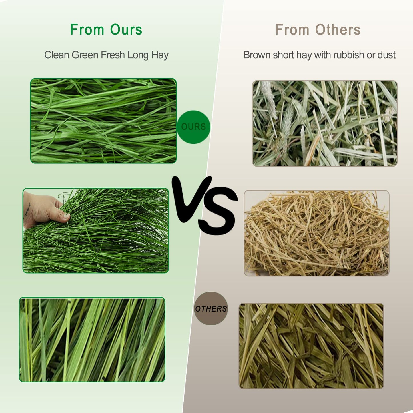 Ohcool Timothy Hay Premium Hay for Rabbits Guinea Pig Chinchilla- Natural Fresh Hay Hand Selected 6.6LBS (1.1lbs, 6 Pack)