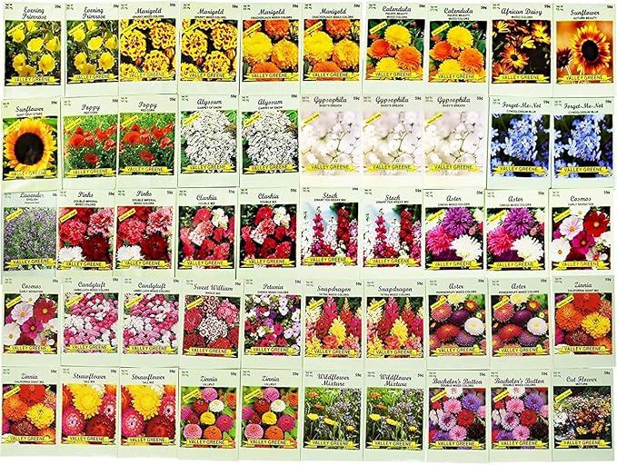 Set of 1000 Flower Seed Packets - Flower Seeds in Bulk - 15 or More Varieties Available - Great for Creating Colorful Gardens (1000)