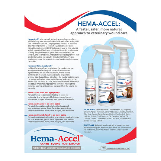 Hema-Accel Equine Wound Care Spray for Horses – Natural Skin Spray with Aloe, Coconut Oil & Vitamin E – Topical Animal Treatment for Minor Cuts, Burns, Scratches, Hotspots, Irritation – 16 oz