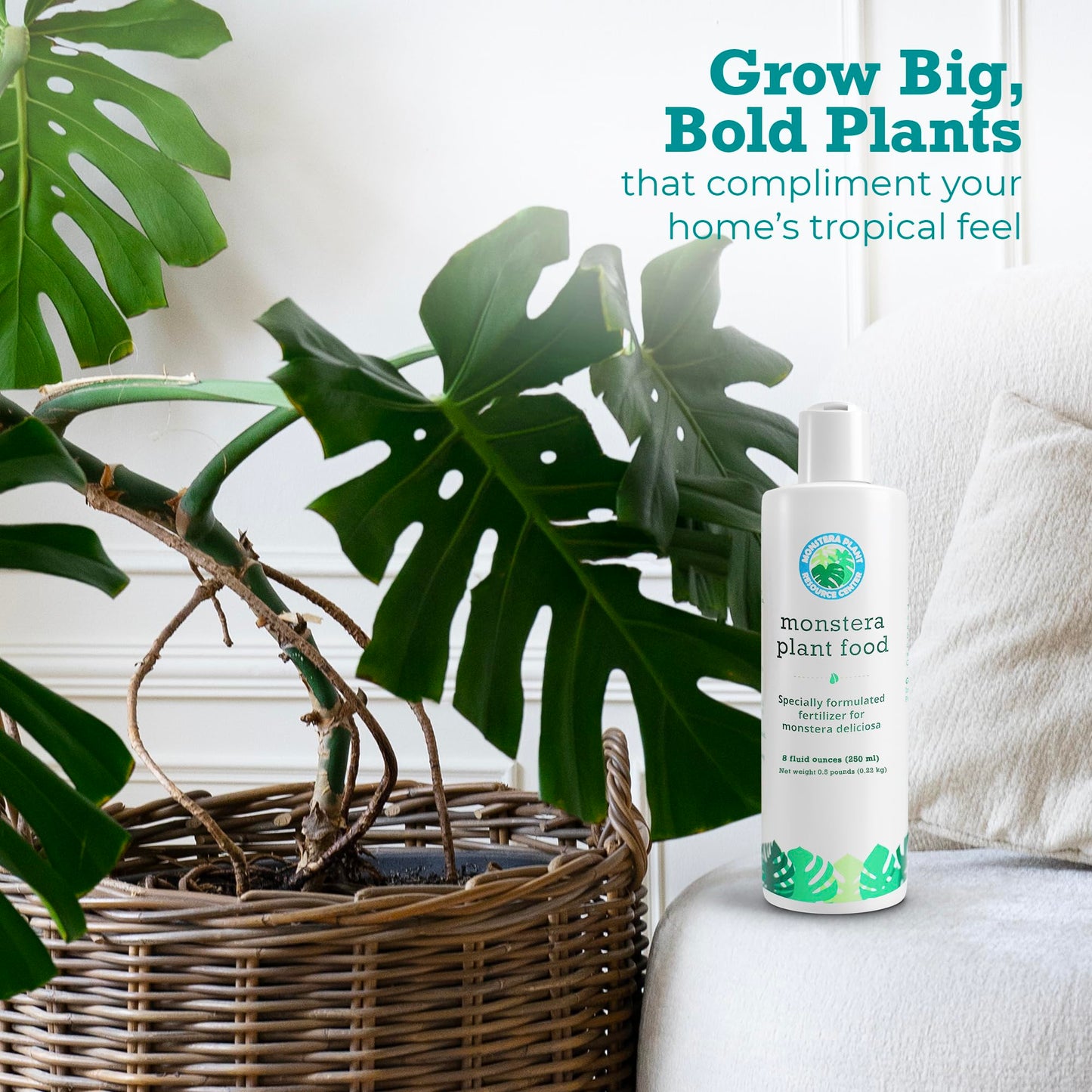 Ultimate Houseplant Care Variety Bundle