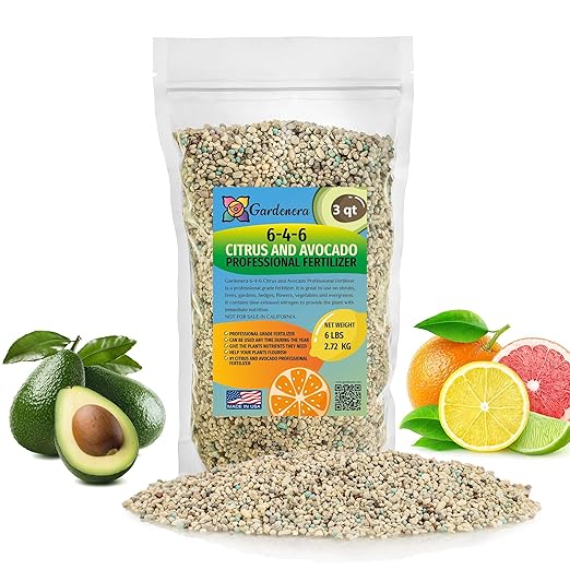 𝐁𝐄𝐒𝐓𝐒𝐄𝐋𝐋𝐄𝐑 6-4-6 Avocado Citrus Tree Plant Food for Outdoor/Indoor Gardening | Quick-Release Nitrogen Fertilizer | Orange, Lime, Avocado and Lemon Tree Fertilizer (3 Quarts)
