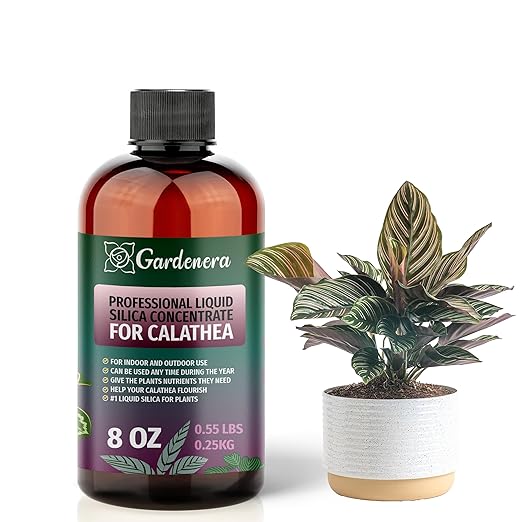 𝐏𝐑𝐄𝐌𝐈𝐔𝐌 Liquid Silica Plant Supplement - 8oz (250mL) - CALATHEA Plants Liquid Silica Boost Fertilizer - Stronger Stems & Healthy Leaves for Indoor & Outdoor Calathea Plants (Makes 45 Gallons)