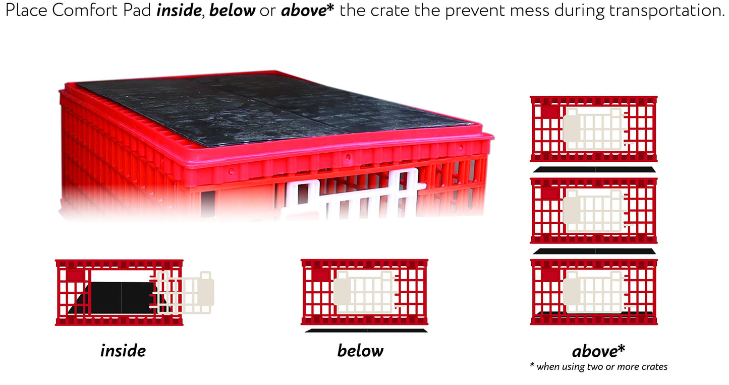 RentACoop Poultry Carrier Crate (Pack of 1) 29" L x 22" W x 12" H for Chickens