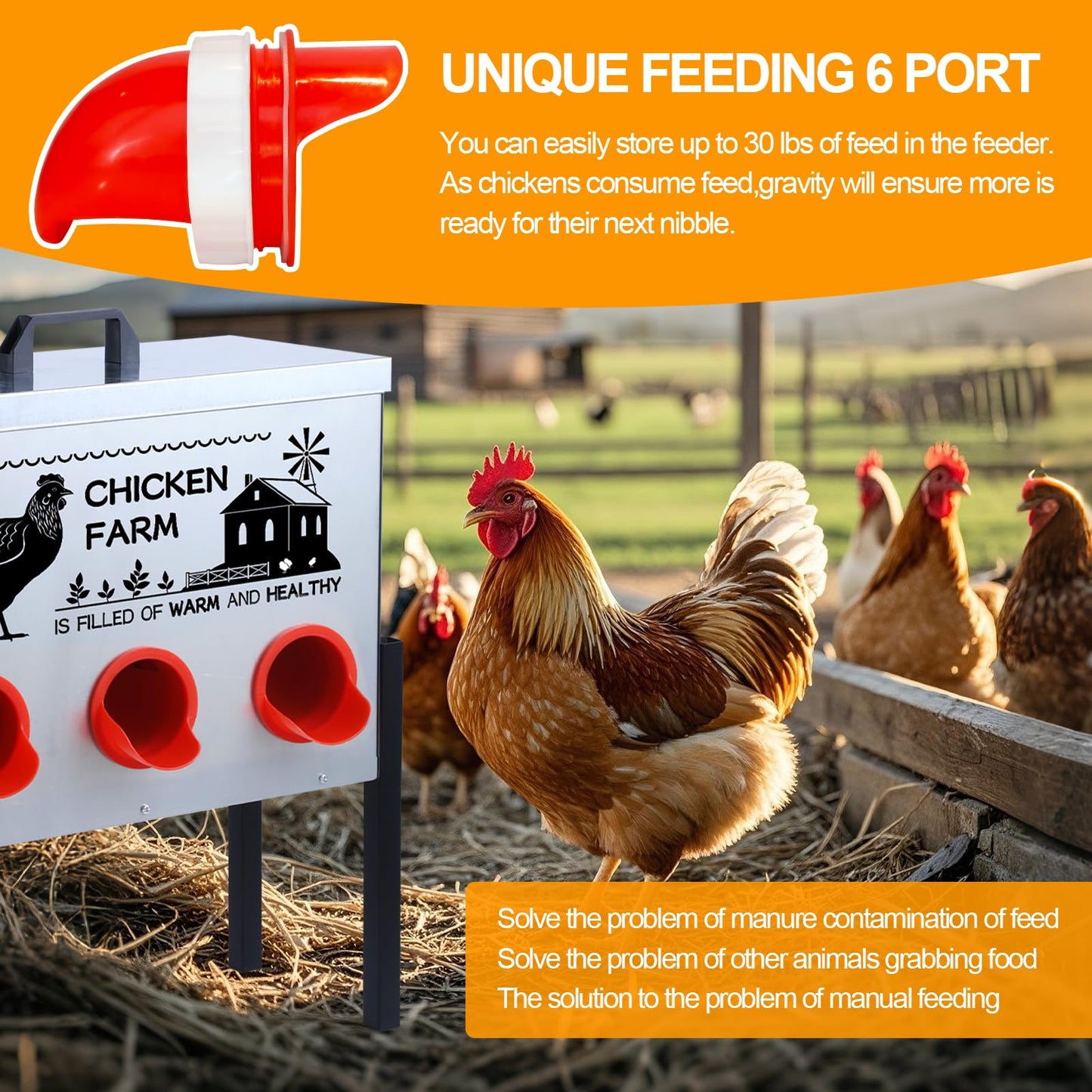 Automatic Chicken Feeder Box 30 lbs, 6 Feeding Ports, No Waste Poultry Feeder with Locking Lid and Adjustable Legs for Chickens, Ducks, Geese Galvanized Metal (30 Lbs-6 Ports)