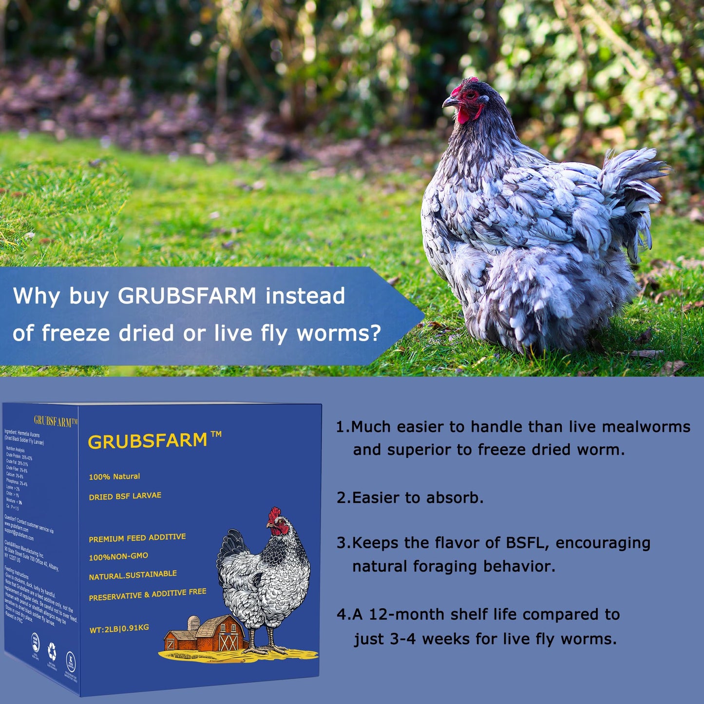 GRUBSFARM Premium Chicken Treats 2LB - Non-GMO & 85X More Calcium Than Meal Worms - Molting & Laying Supplement - BSF Larvae Treats for Layer Hens, Ducks Wild Birds