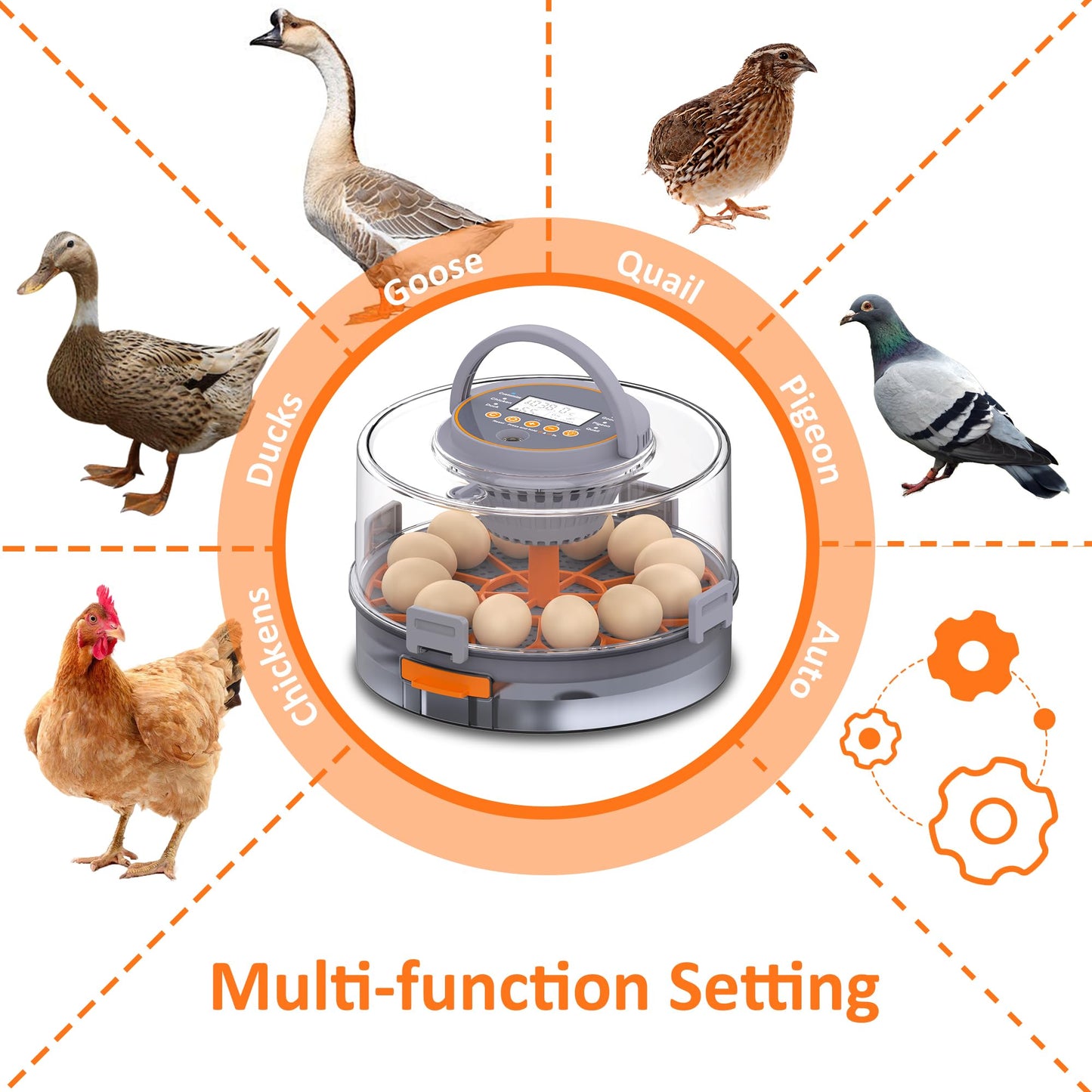 Egg Incubator with Automatic Egg Turning and Humidity Control, Intelligent Egg Incubator with Automatic Temp. Adjustment, 12 Egg Incubator