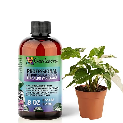 𝐒𝐔𝐏𝐄𝐑𝐈𝐎𝐑 Liquid Silica Boost Fertilizer and Supplement Spray for ALBO VARIEGATA Plants – Pre-Mixed, Ready-to-Use Liquid Silicon Plant Superfood Mist for Indoor & Outdoor Plants – 8oz