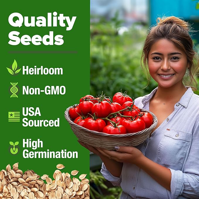 HOME GROWN Heirloom Tomato Seed Collection – Beefsteak & Large Red Cherry (1100+ Non-GMO Seeds for High-Yield Gardening) Solanum lycopersicum