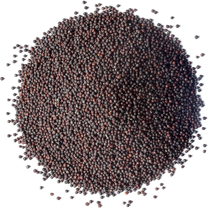 Food to Live Organic Broccoli Seeds for Sprouting, 8 Ounces – Non-GMO, Vegan, Kosher, Sirtfood, Bulk. Rich in Sulforaphane, Vitamin C. Grow Sprouts, Microgreens for Salads, and Sandwiches