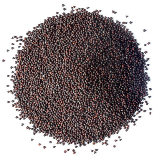 Food to Live Organic Broccoli Seeds for Sprouting, 5 Pounds – Non-GMO, Vegan, Kosher, Sirtfood, Bulk. Rich in Sulforaphane, Vitamin C. Grow Sprouts, Microgreens for Salads, and Sandwiches