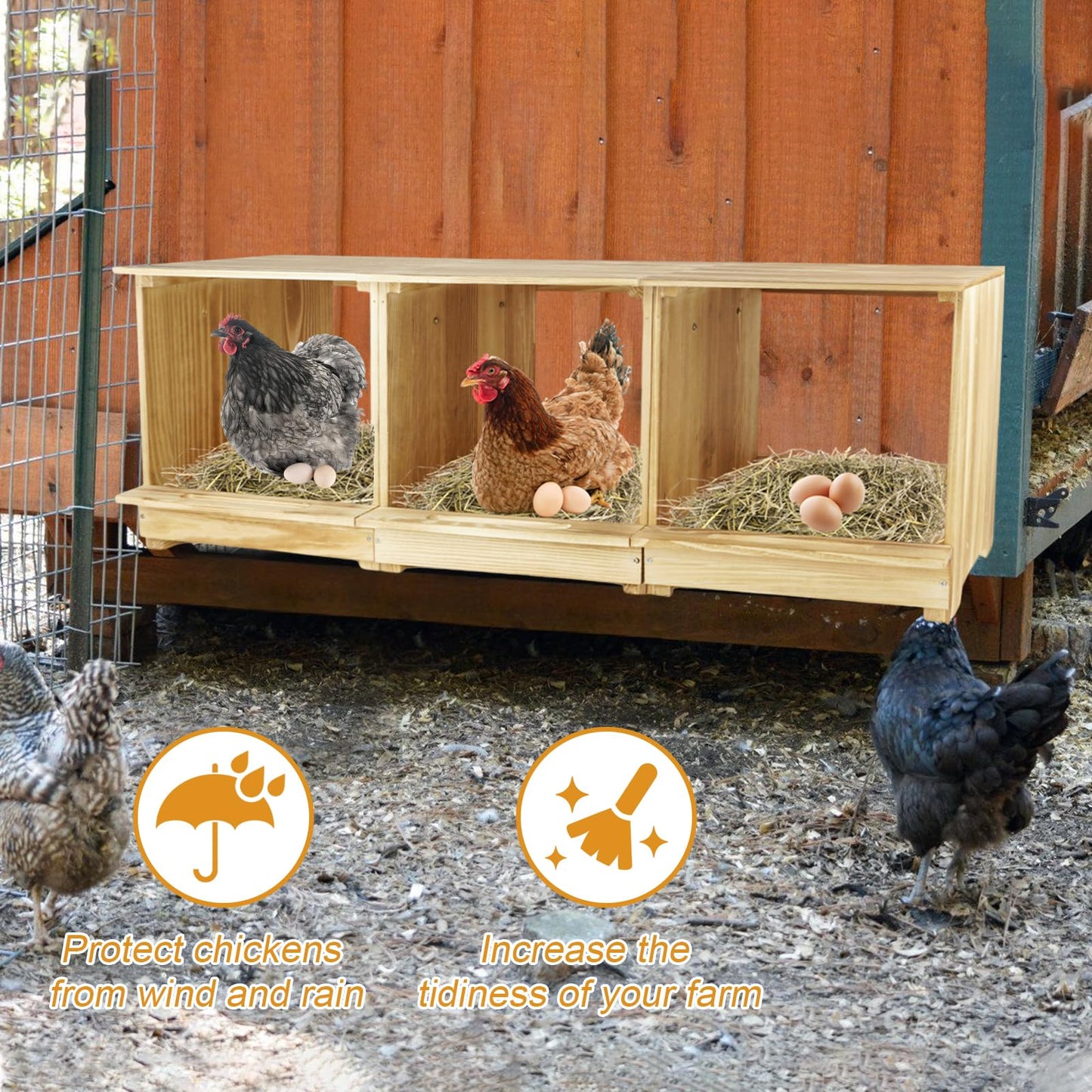 Nesting Boxes for Chickens 3 Compartments Chicken Nesting Boxes Wall Mount Nest Box for Chicken Coop Versatile Use Wood Nesting Boxes for Hens Easy to Assemble for Chickens, Hens, Ducks