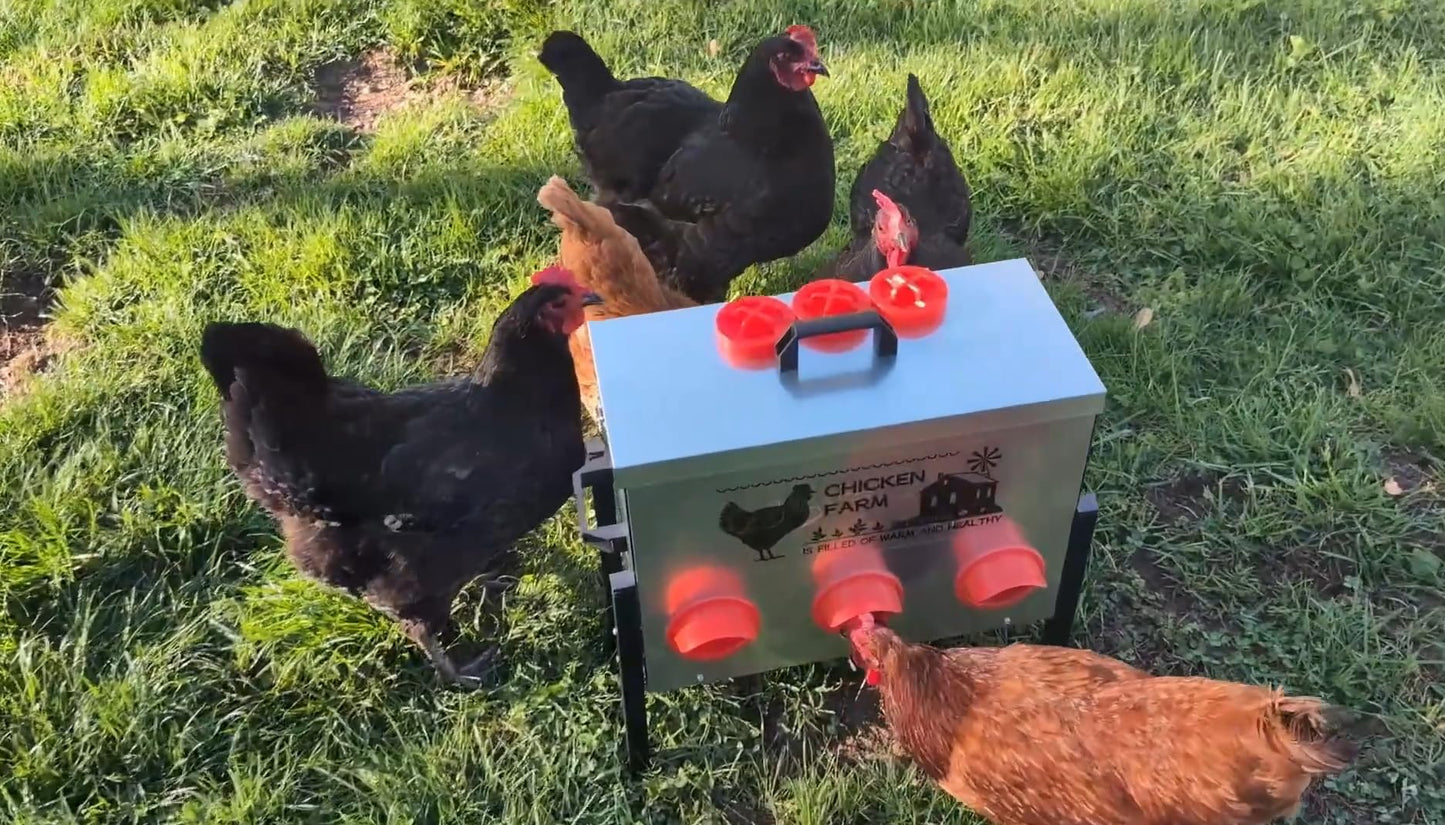 Automatic Chicken Feeder Box 30 lbs, 6 Feeding Ports, No Waste Poultry Feeder with Locking Lid and Adjustable Legs for Chickens, Ducks, Geese Galvanized Metal (30 Lbs-6 Ports)