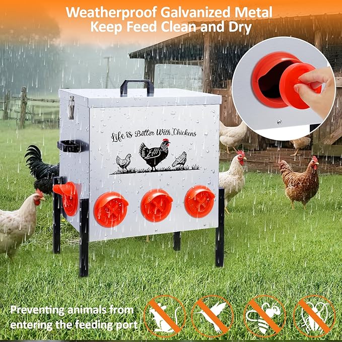 50LB Automatic Chicken Feeder–8 Feeding Ports No-Waste Galvanized Metal Chicken Feeder Box with Adjustable Legs & Locking Lid Poultry Feeder for Chickens,Ducks,Geese,Rust-Resistant