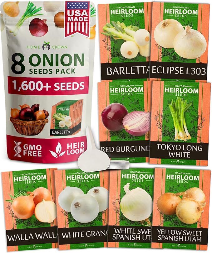 HOME GROWN 𝗨𝗦𝗔 𝗣𝗥𝗘𝗠𝗜𝗨𝗠 8 Onion Seeds for Planting – 1,600 Heirloom 𝗡𝗢𝗡-𝗚𝗠𝗢 Vegetable Seeds – Grow Sweet, Yellow, Red, Spanish, Green & Vidalia Onions in Outdoor or Indoor Home Garden