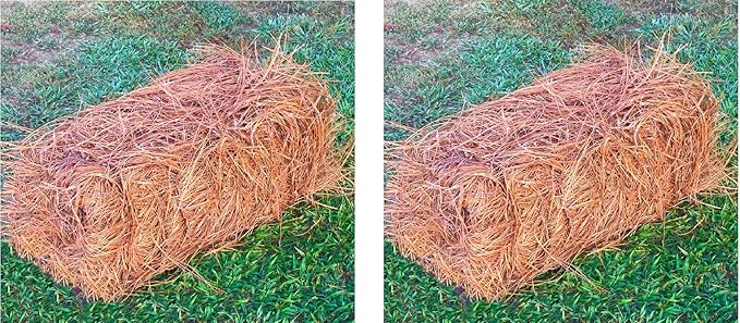 USA Pine Straw - Premium Pine Needle Mulch (Pine Needle Mulch - Covers 65-80 Sqft 2 Set)
