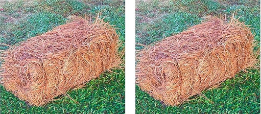 USA Pine Straw - Premium Pine Needle Mulch (Pine Needle Mulch - Covers 65-80 Sqft 2 Set)