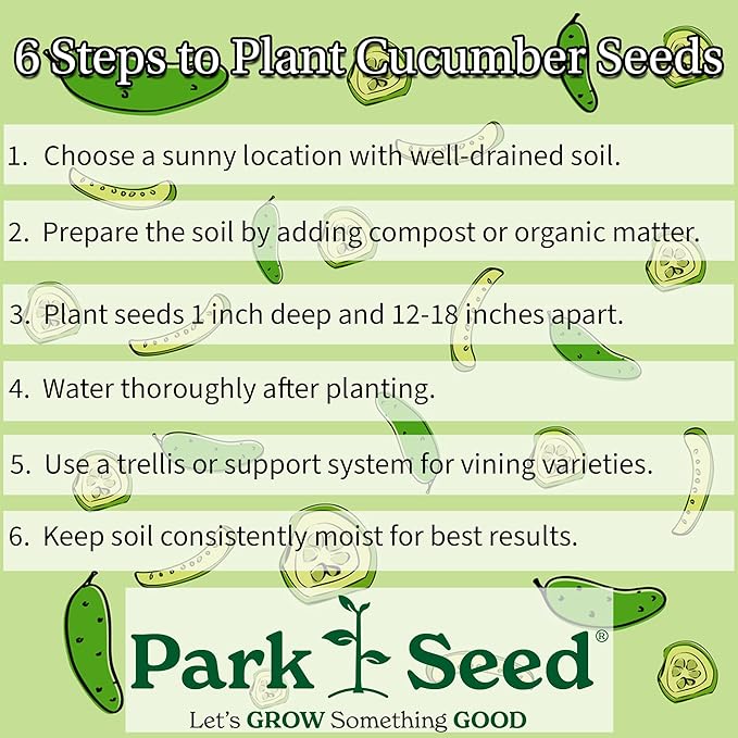 Park Seed Variety of Cucumber Seeds, Planting Cucumbers, Vegetable Seeds, Easy to Grow, Non-GMO, Perfect for Harvesting, Alibi, Pack of 30