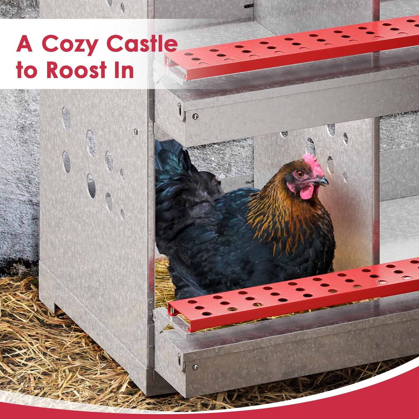 FuzzlyCo Chicken Nesting Boxes, 6 Hole Nesting Box for Chickens with Easy Egg Collection Roll Away Heavy Duty Chicken Coop Laying Box for Hens