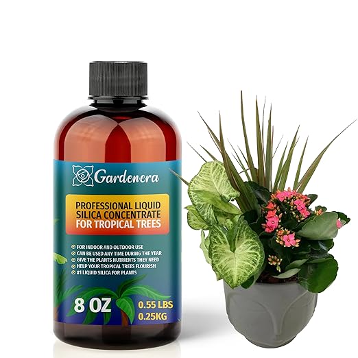 𝐏𝐑𝐄𝐌𝐈𝐔𝐌 Liquid Silica Plant Supplement - 8oz (250mL) - Tropical Plants Liquid Silica Boost Fertilizer - Stronger Stems & Healthy Leaves for Indoor & Outdoor Tropical Plants (Makes 45 Gallons)