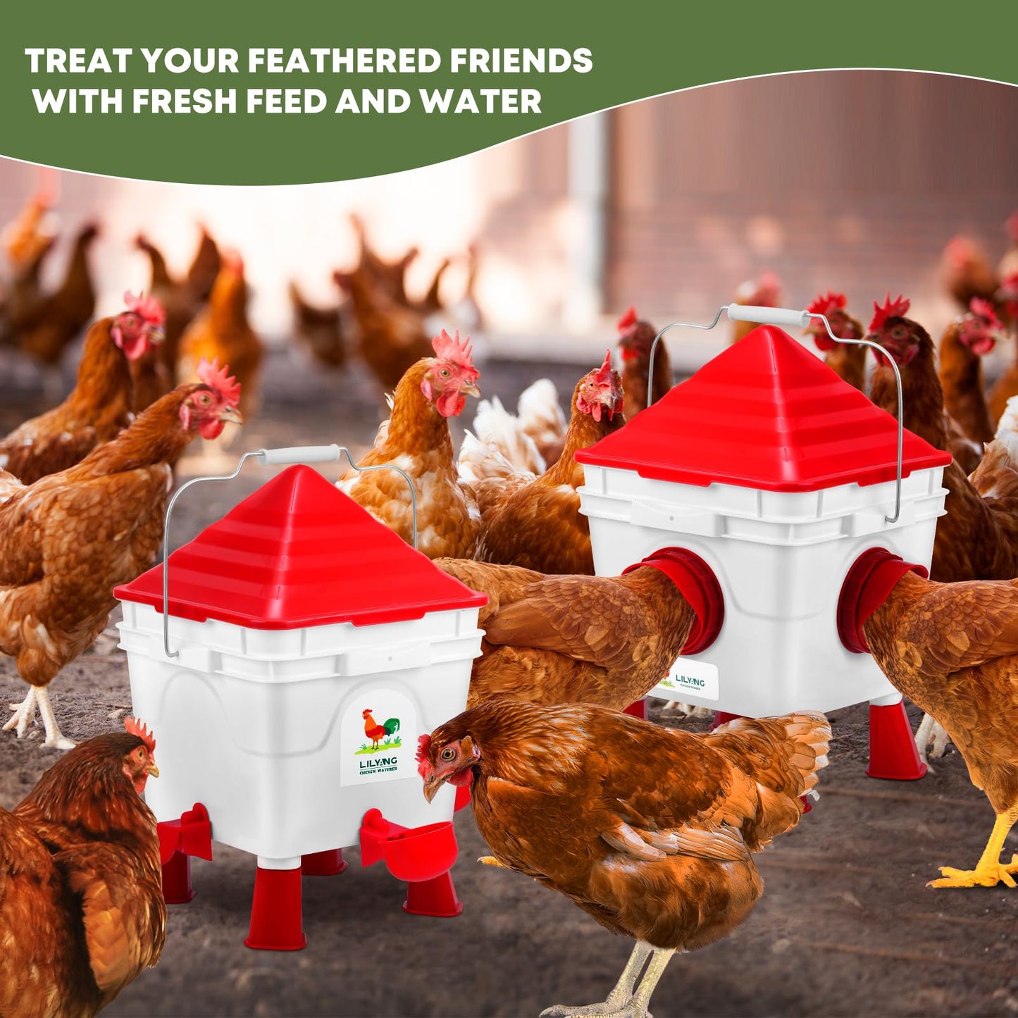 Lilyang Standing Chicken Feeders and Chicken Waterers, 2.5 Gallon Chicken Water Feeder with 4 Cups, 13.5 lb Automatic Chicken Feeder No Waste, for 8-10 Adult Chickens or 10-15 Quails (Standing)