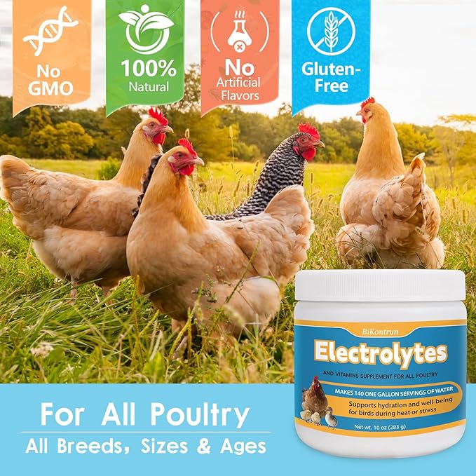 Chicken Electrolytes for Water, Electrolyte & Vitamin Supplement for Poultry, Chicks, Ducks, Turkeys, Support Hydration, Stress Recovery, Immunity, Backyard Chicken Essential, 10oz Makes 140 Gallons