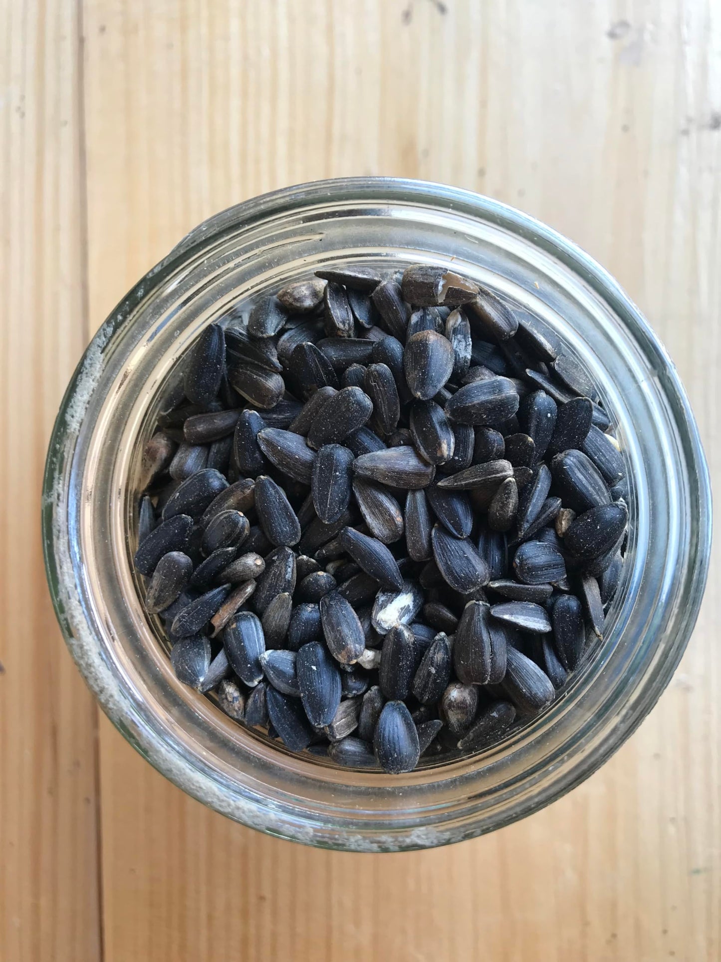 Ernst Grain & Livestock Wholesome Harvest Black Oil Sunflower Seeds - Birdseed for Outside Feeders Wild Bird Food - Ideal Bird Seed for Cardinals, Woodpeckers and More - Non-GMO, 7lb