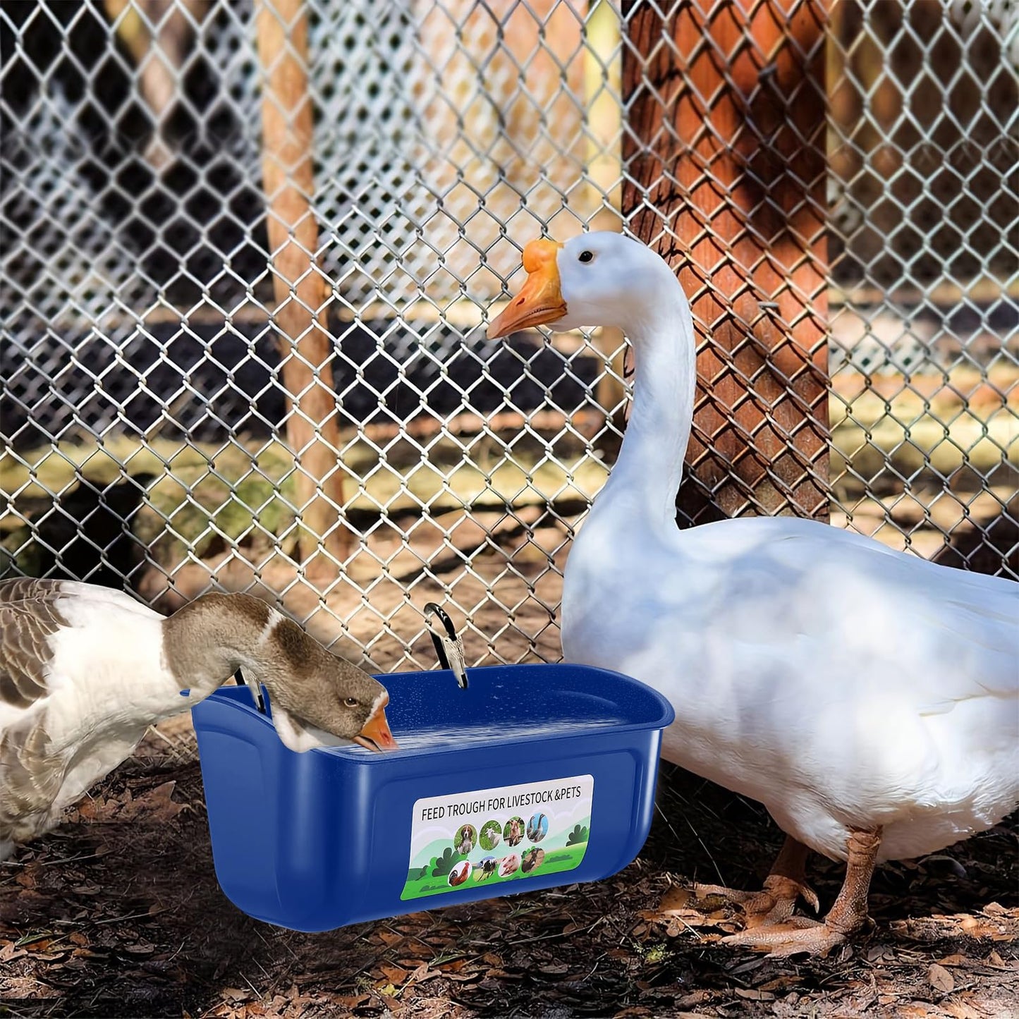 JNYLYFC Chicken Feeder Waterer, 3 Pack Duck Feeder Supplies, Hanging Fence Feed Trough with Clips for Goat, Sheeple, Piglet, Gooses, Turkeys, Dog Livestock Poultry, Blue
