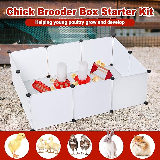 Chick Brooder Box Starter Kit, Plastic Baby Chicken Feeder and Waterer Set with Chick Perch