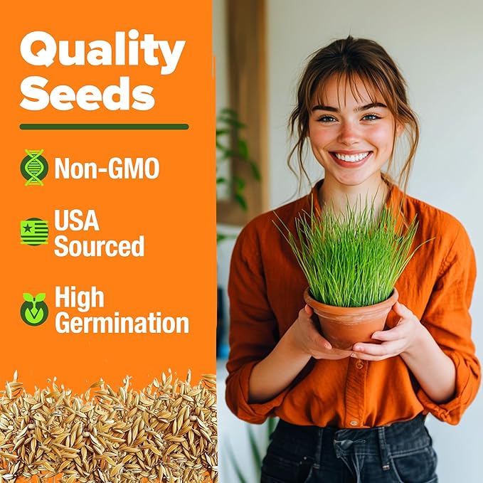HOME GROWN Cat Grass Seed Mix – Non-GMO Oat, Alfalfa, Rye & Wheat Seeds for Cats | Indoor Pet Grass with Fast Germination | Digestive Aid, Hairball Relief & Safe Chew Alternative