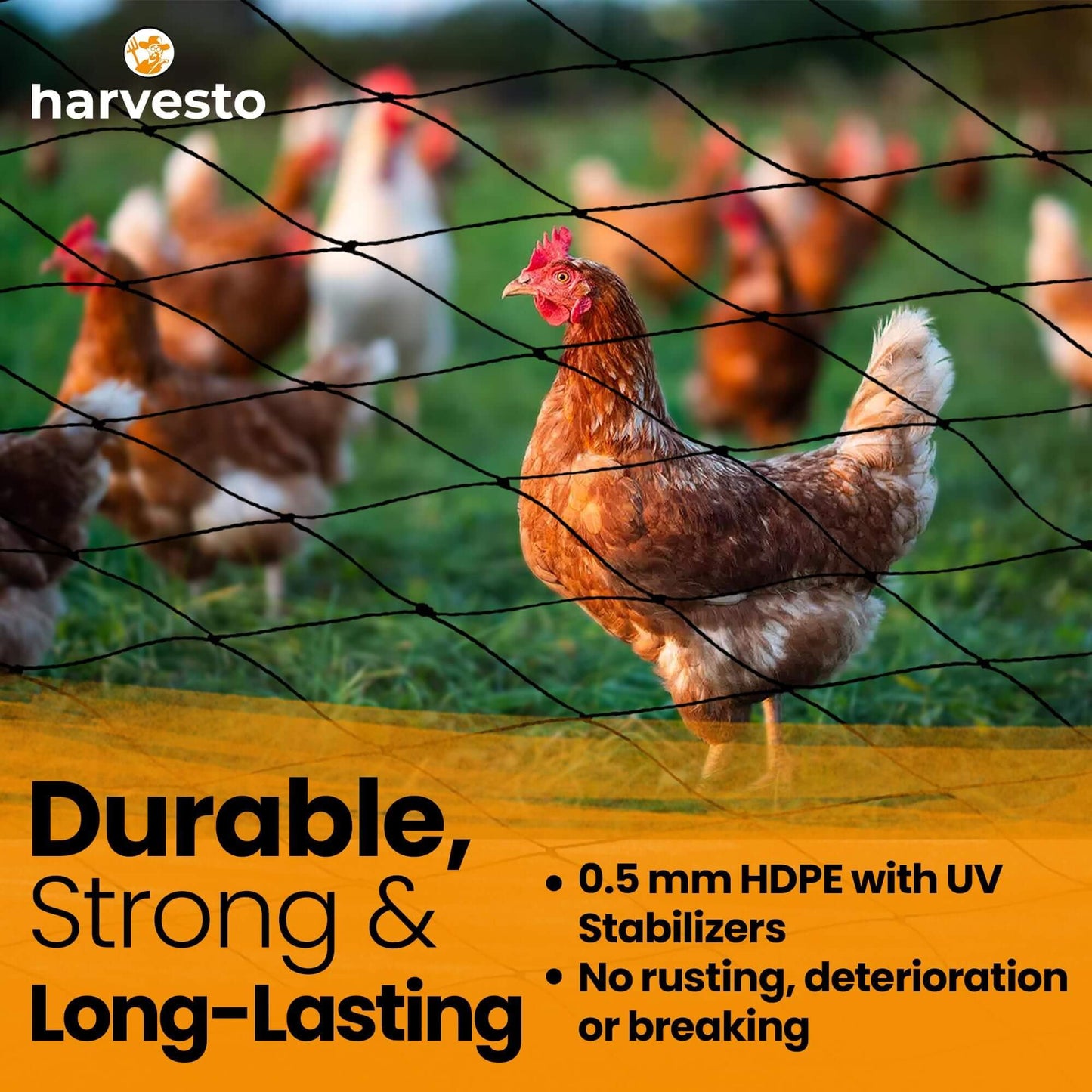 Harvesto Heavy Duty Bird Netting for Chicken Coops & Runs | Tree & Garden Netting Mesh 1-1/2" | Keep Hawks, Birds & Predators Away | Bird Netting for Blueberry Bushes, Vegetables & Fruit (50' x 150')