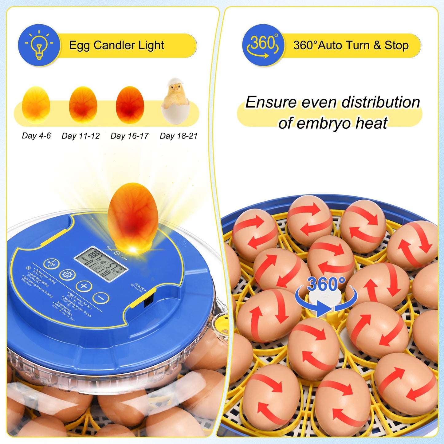 M METERXITY 18-40 Incubators for Hatching Eggs, Egg Incubator with Candler, Automatic Turn, Temperature Control, Humidity and Hatch Day Display, 360° View for Chicken/Quail/Duck/Goose/Parrot