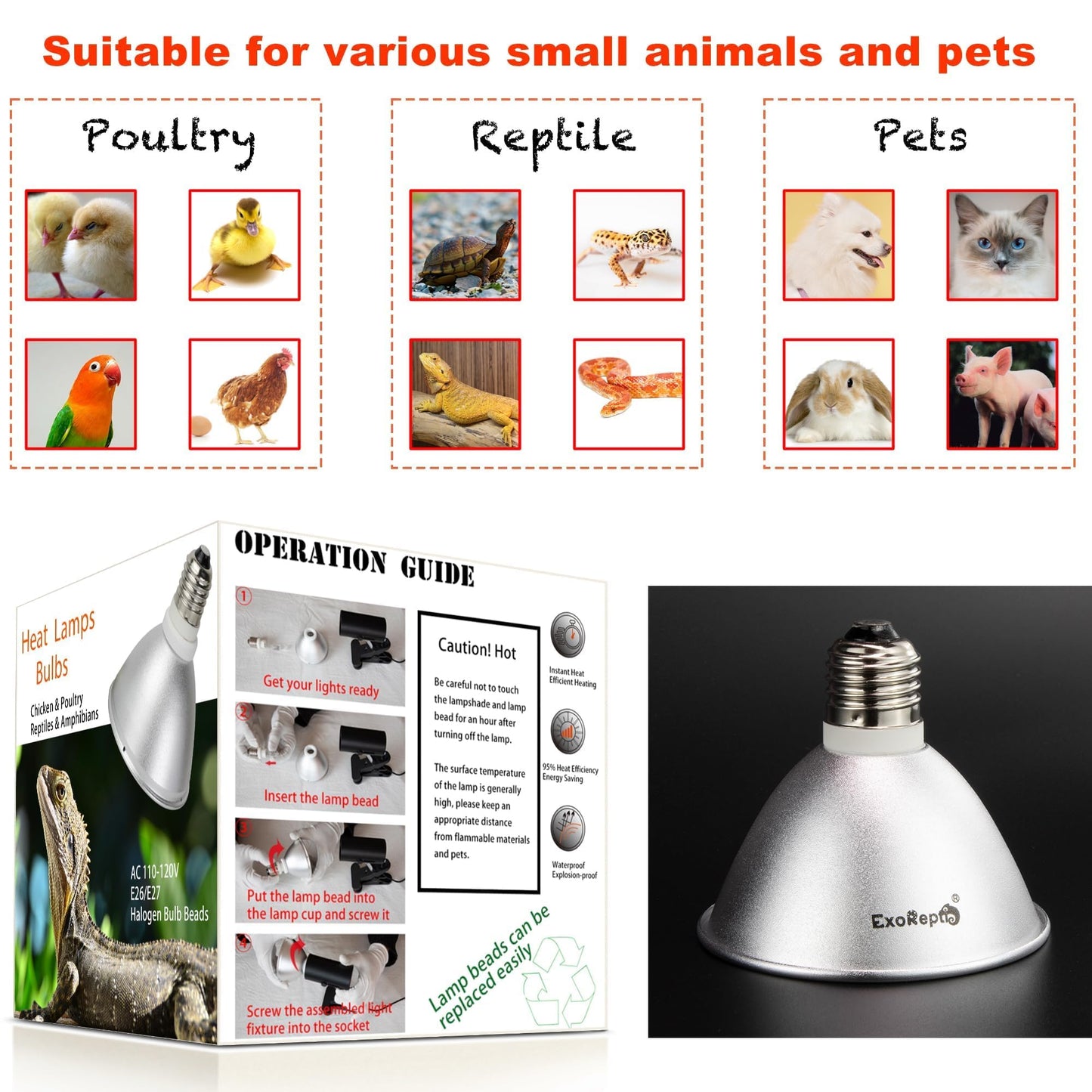 Heat Lamp for Chickens Coop Tiny Chick Brooder, Infrared Flood Light Red Bulbs Replaceable E26 Base 50 Watt Chick Heater for Reptile Pets Duckling Poultry Livestock