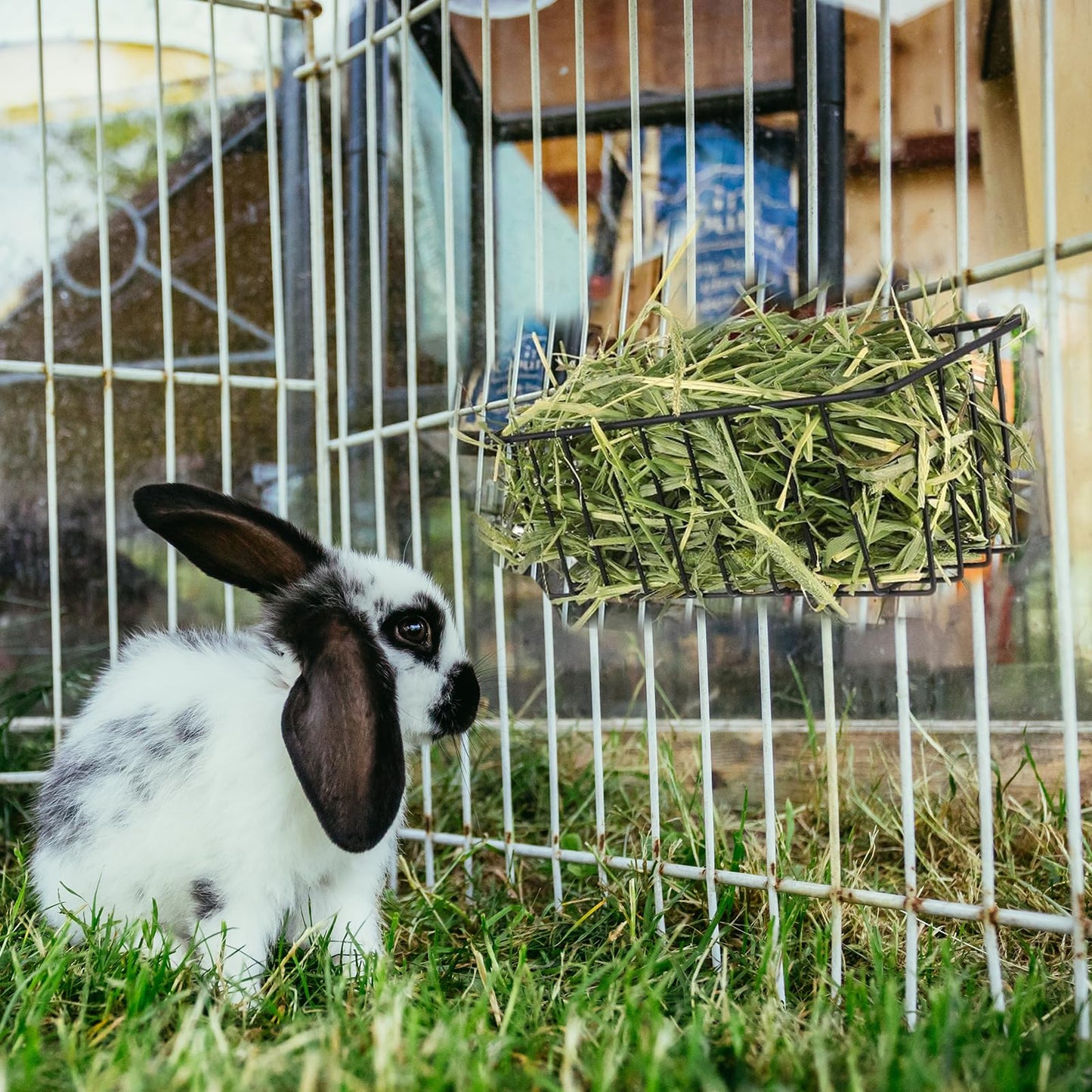 Voittozege 4 Pcs Rabbit Hay Feeder, Heavy Duty Metal Rabbit Hay Rack with Hooks Small Animal Cage Accessories Bunny Hay Feeder Holder Pet Grass Rack for Guinea Pig Chinchillas
