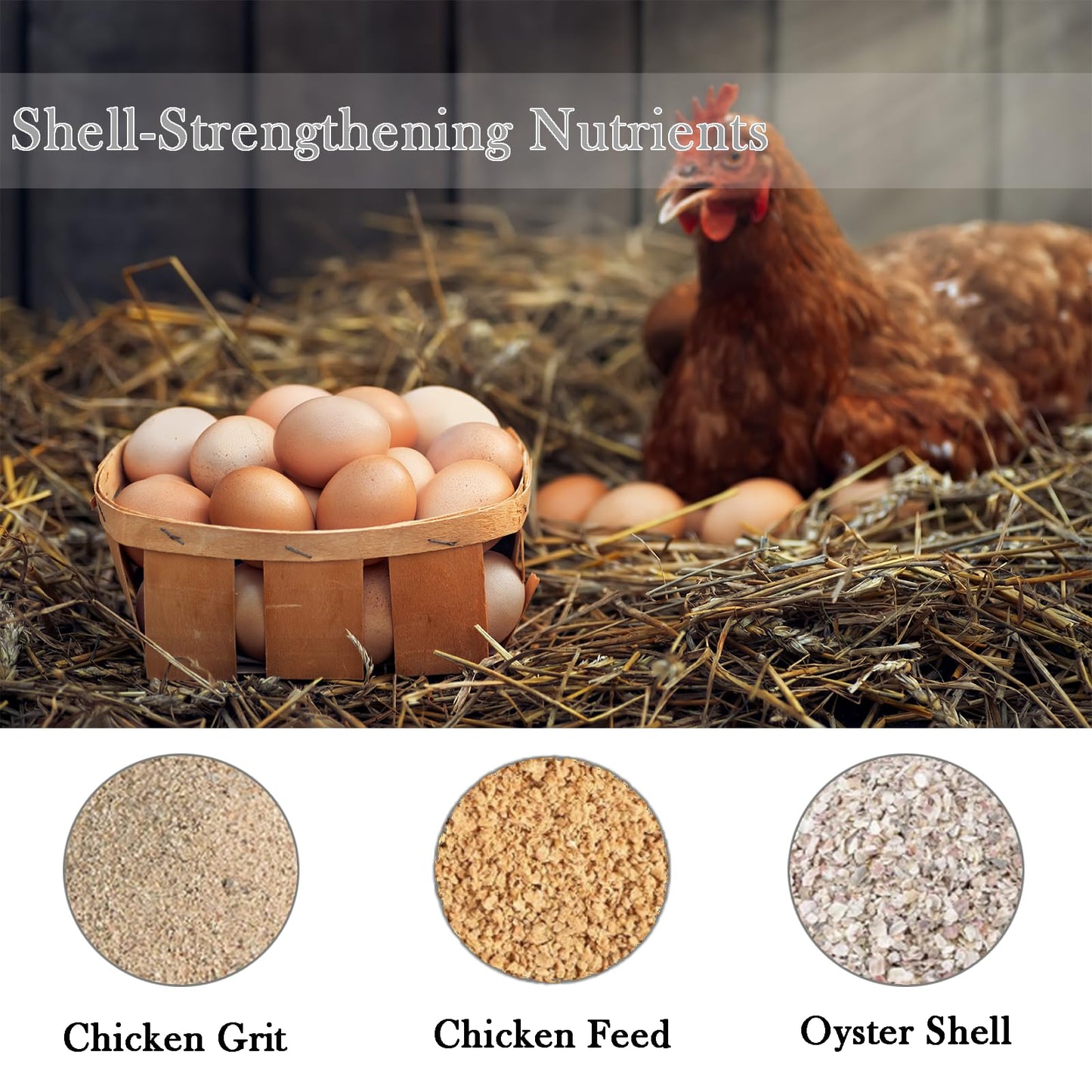 Automatic Chicken Oyster Shell & Grit Feeder,Hanging Metal Poultry Feeder Trough, Gravity-Fed Chicken Coop Accessory, Durable Black + Red Design